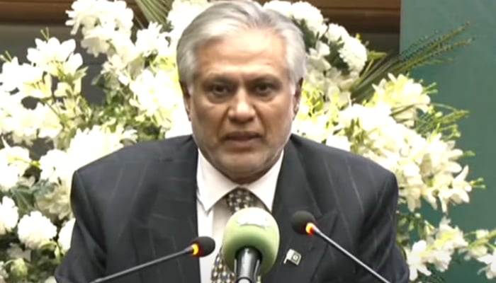 Deputy Prime Minister Ishaq Dar speaks during an event at PSX in Karachi on January 8, 2025. — Screengrab/GeoNews