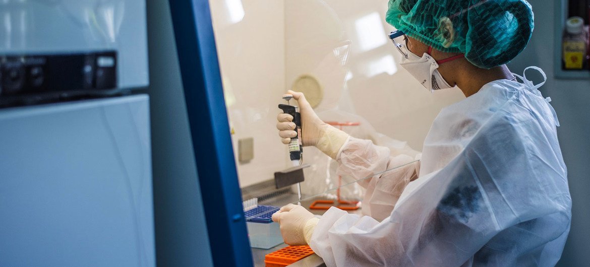 A laboratory researcher works at a WHO Collaborating Research Center in Thailand. (file) A laboratory researcher works at a WHO Collaborating Research Center in Thailand. (file)