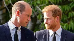 Prince William hit with sharp criticism as Prince Harry plans royal reunion