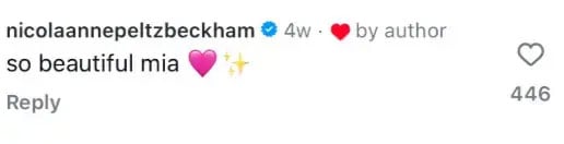 Romeo and Cruz Beckham Troll Brooklyn's wife Nicola Peltz in the middle of family sweep