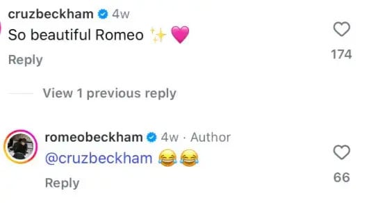 Romeo and Cruz Beckham Troll Brooklyn's wife Nicola Peltz in the middle of family sweep