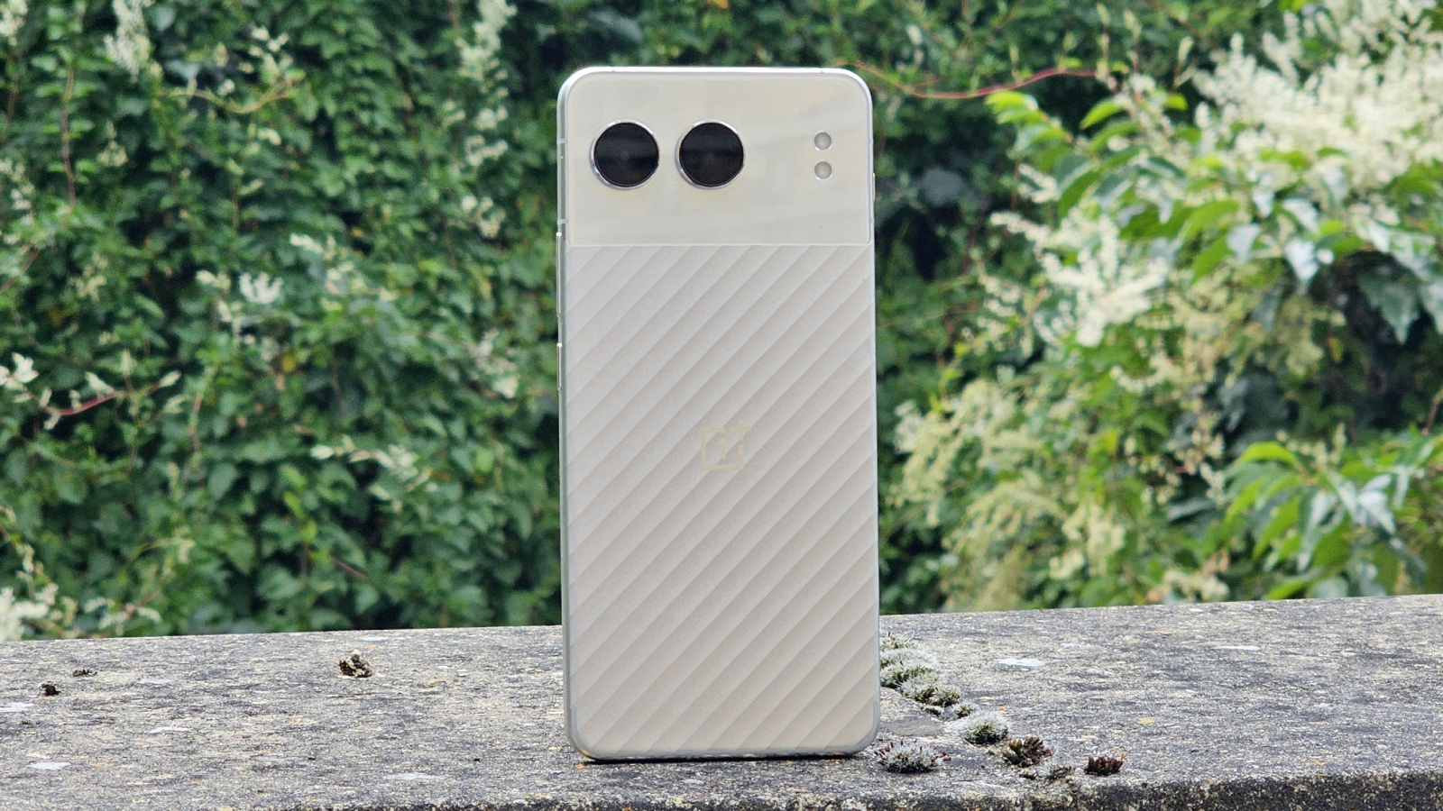 OnePlus Nord 4 before a leaf background.