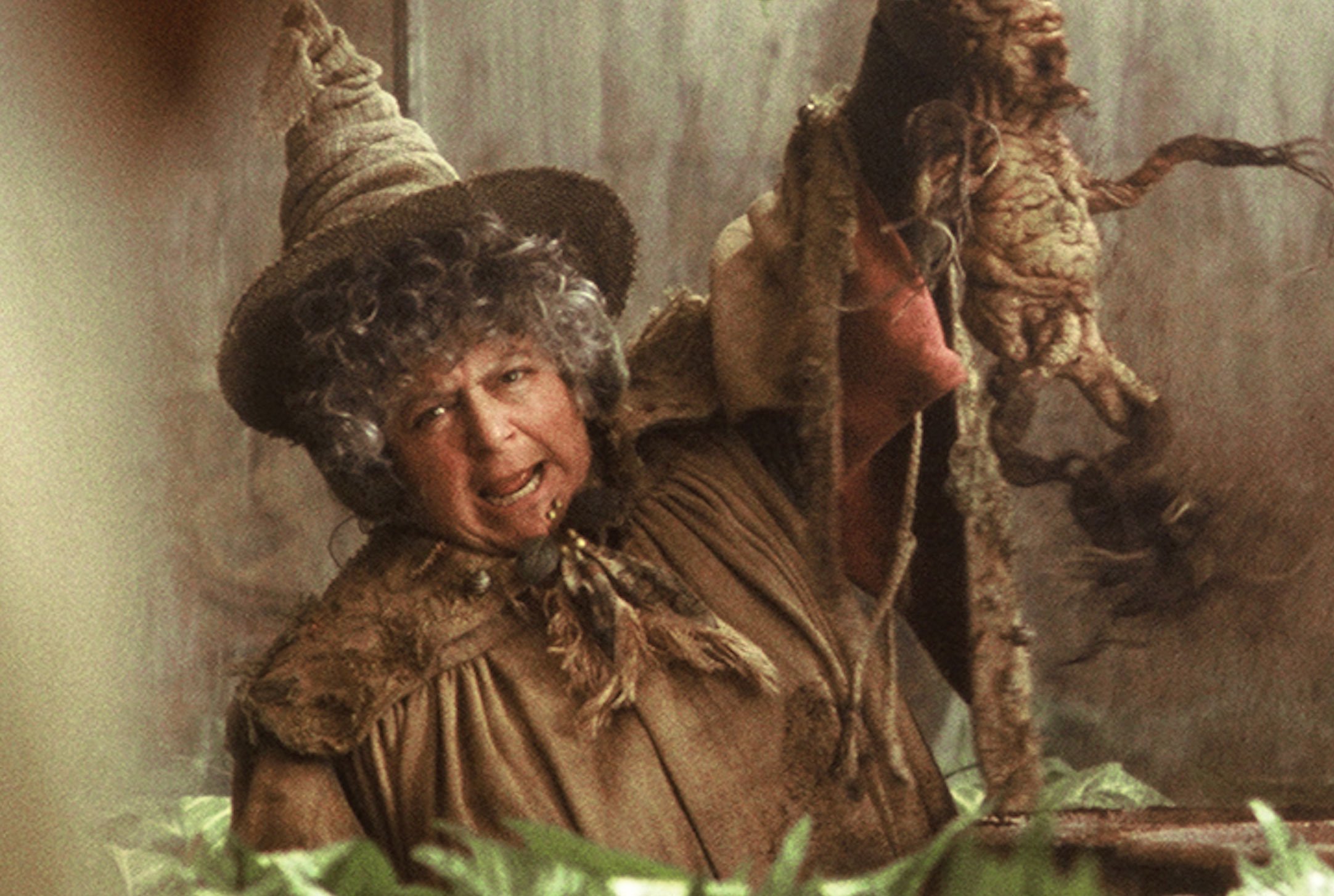 Miriam Margolyes plays Professor Sprout