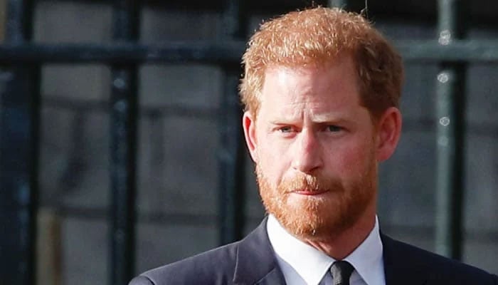 Prince Harry could cultivate his role as a reserve, says expert