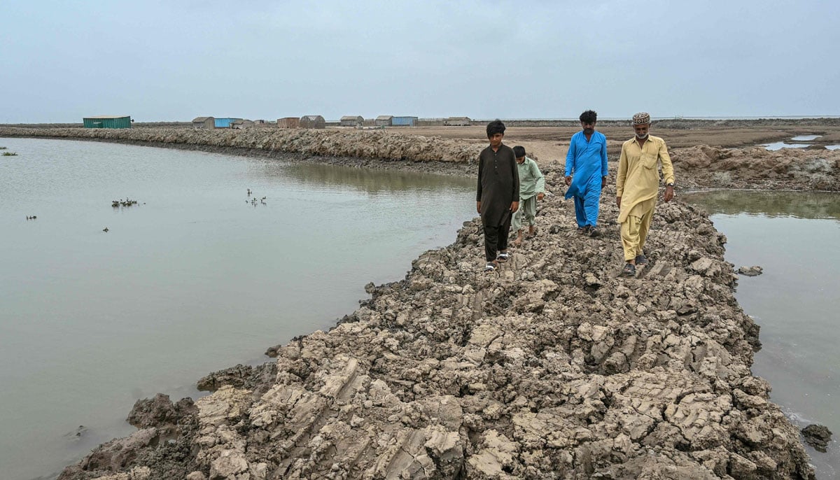 Fisherman Haji Karam Jat (right) goes along a dam in Keti Bandar Town of thattata -District near the Indus -Deltaet on June 25, 2025. -AFP