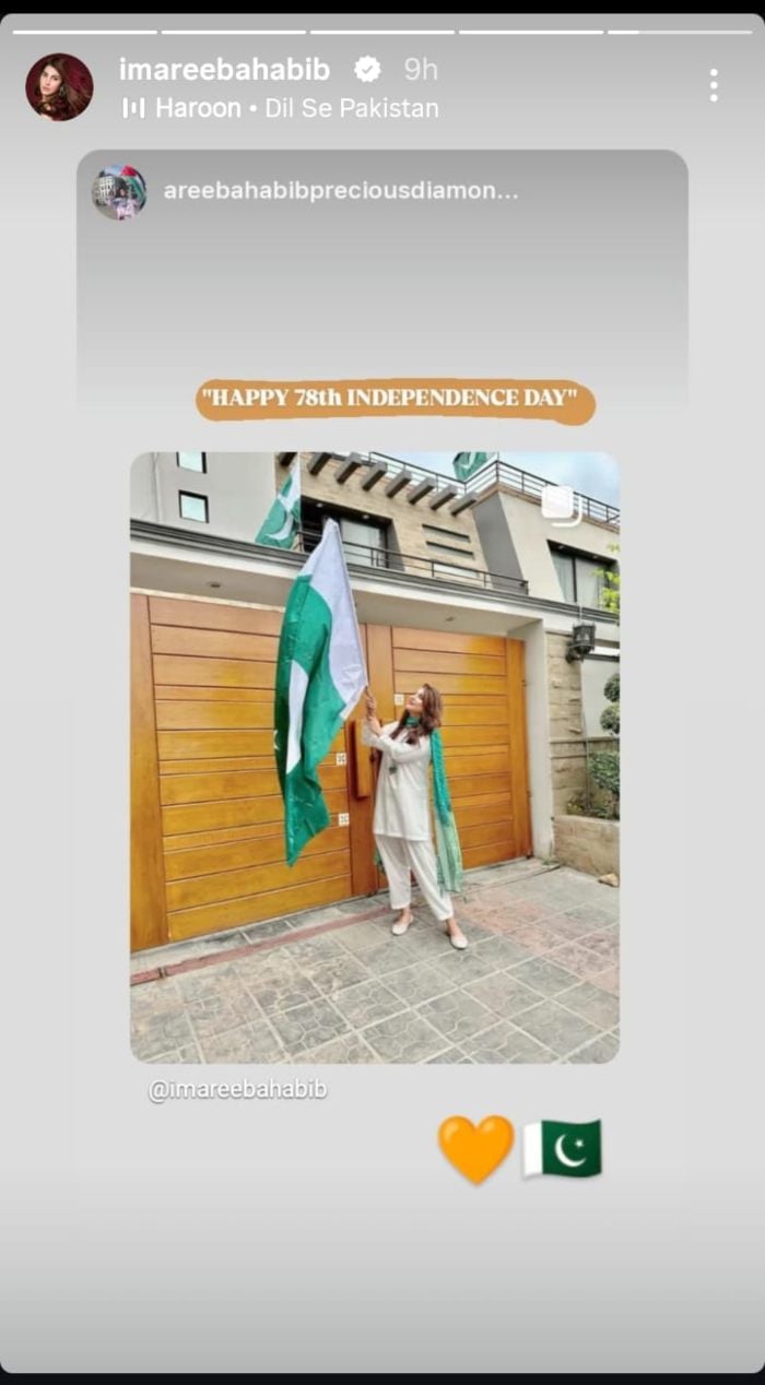 Actor Areba Habib's Post on August 14, celebrating the Day of Independence. - Instagram/@Imareebahabib