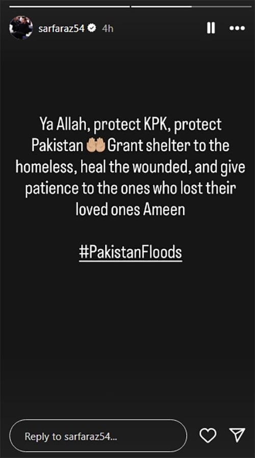 Celebrities, cricketers mourning the destruction of flooding in northern Pakistan