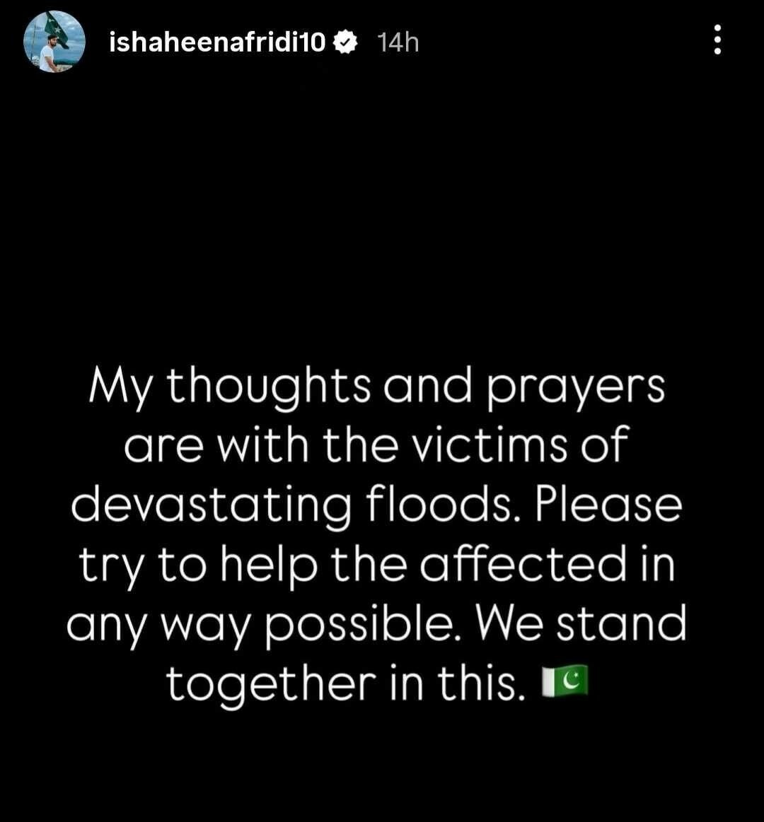 Celebrities, cricketers mourning the destruction of flooding in northern Pakistan