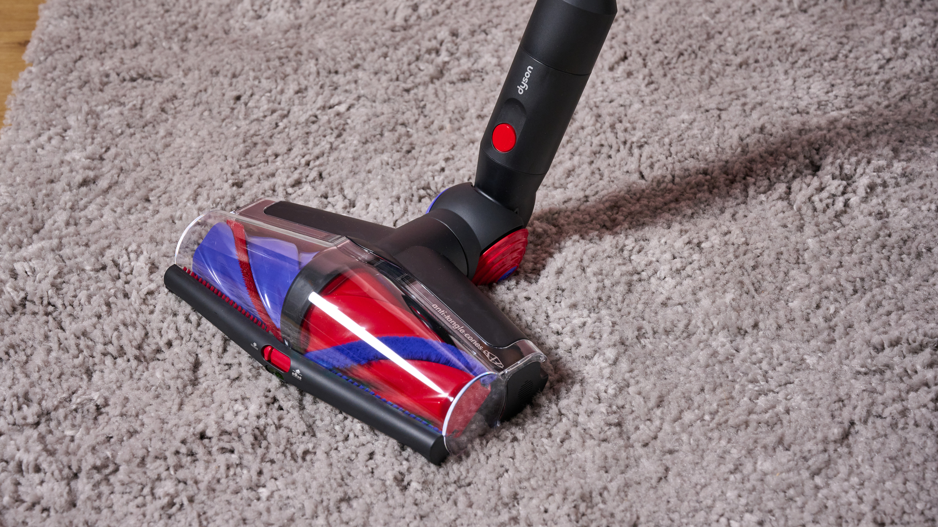 Main Gold Head to Dyson V16 Stamp Animals Vacuum