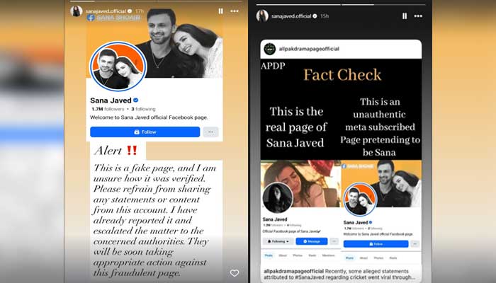 This collage shows screenshots from Sana Javed's official Instagram story. - Instagram@sanajaved. official