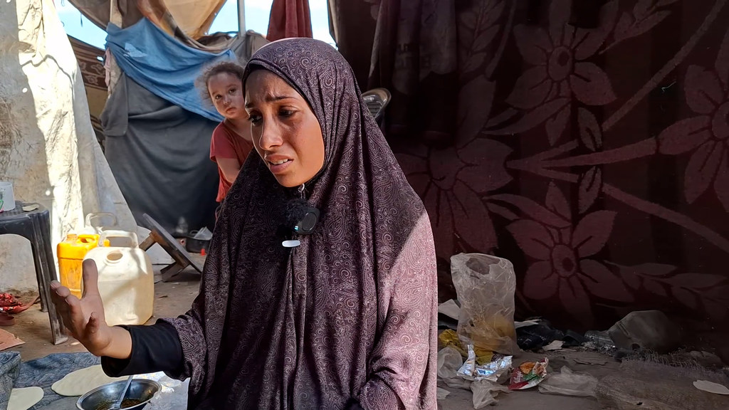 Aisha al-ra'i, displaced from Gaza City south of the strip