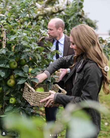 Prince William, Kate Gush over Irelands' heart in Orchard County