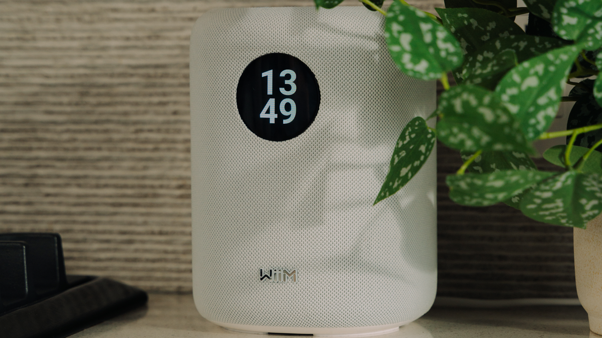 WiiM Sound speaker in white next to a medium-sized potted plant