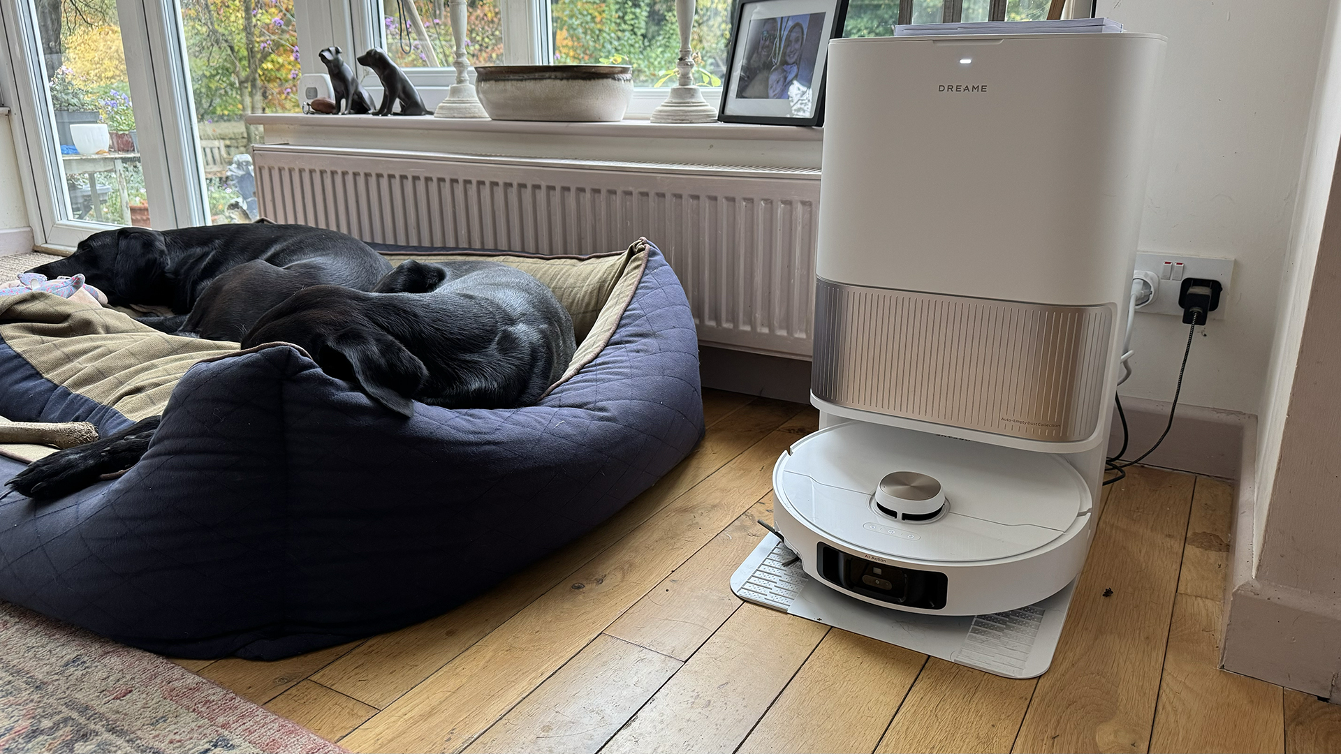 Dreame L40 Ultra robot vacuum cleaner in its dock, next to the dog bed