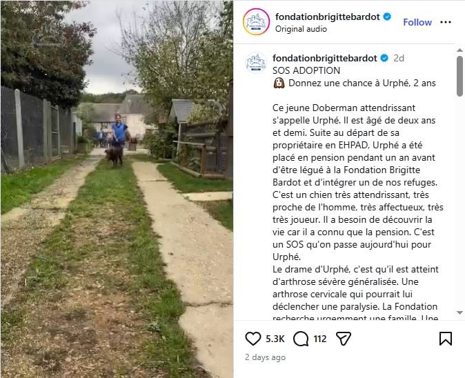 Brigitte Bardot's last Instagram post days before her death