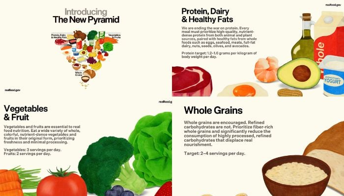 New pyramid introduced by the US Department of Health and Human Services (HHS)