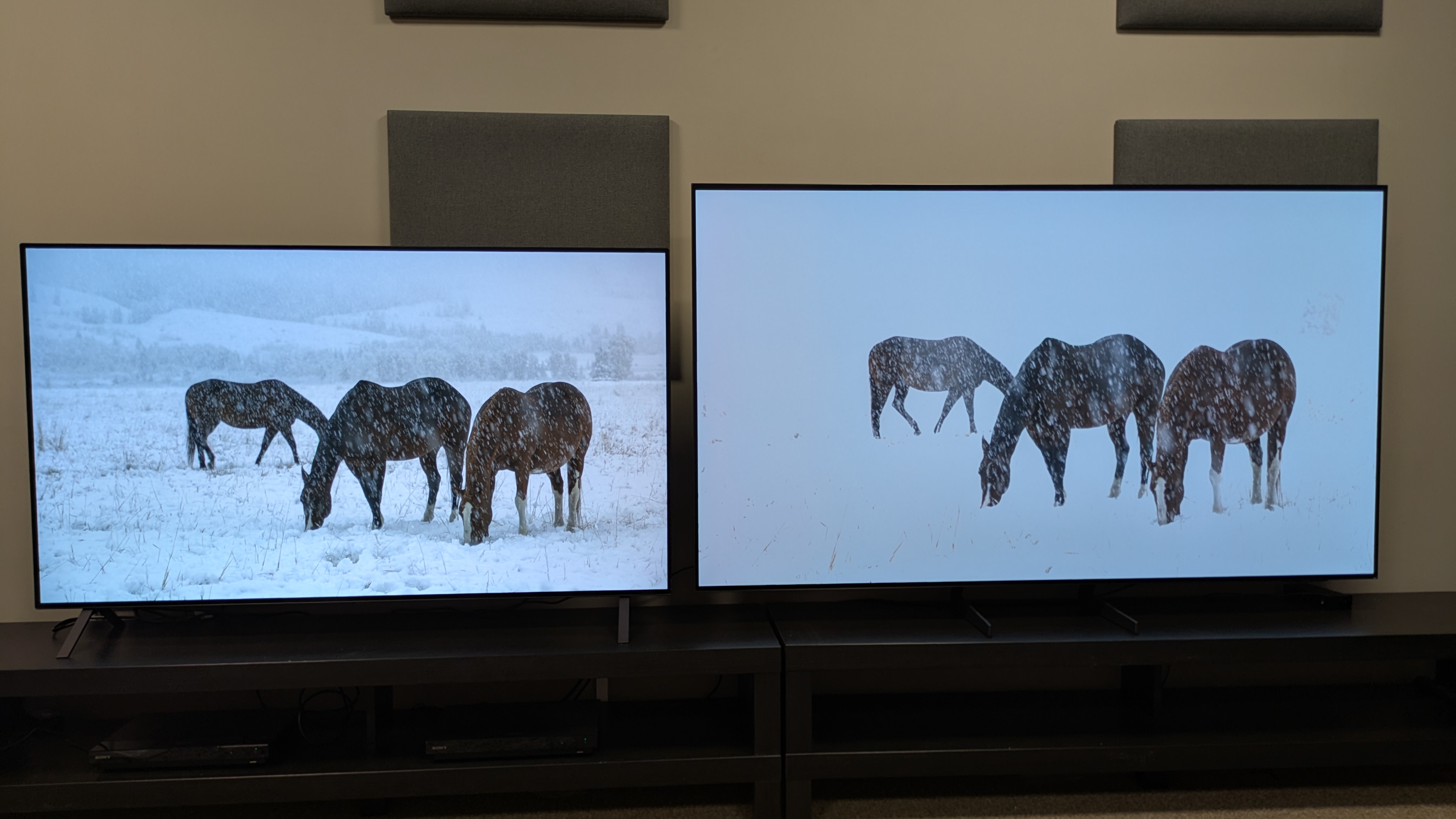 LG B5 in Dolby Vision image mode and Samsung S85F in HDR10 image mode with horses in snow on the screen
