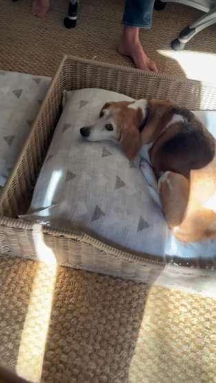 Prince Harry reacts to Meghan Markle's Valentine's Day gift: Love you!