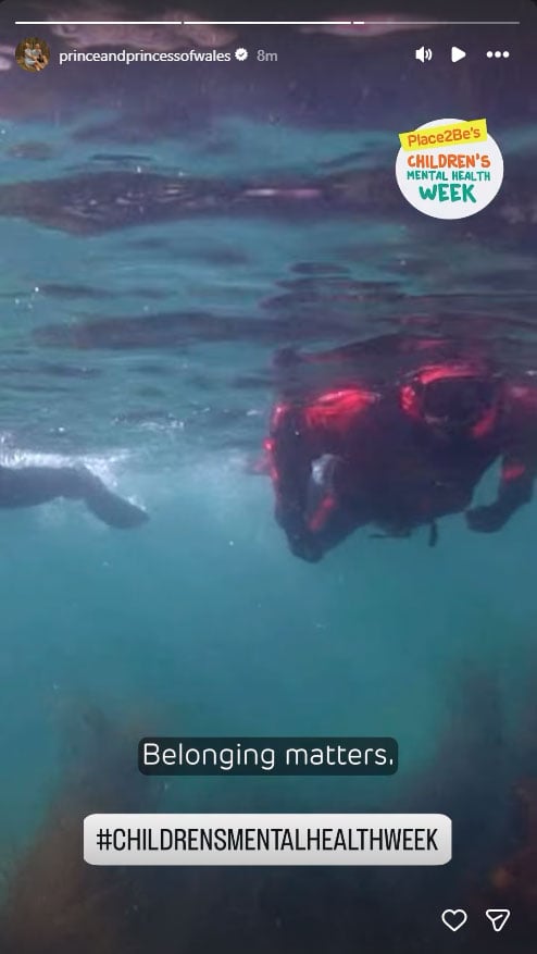 Prince William, Kate backs Harry, Meghan's message: 'Belonging matters