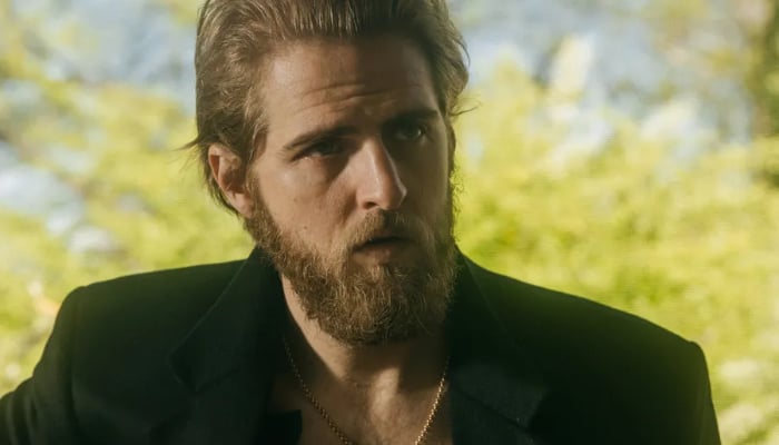 Who is Stranger Things star Maya Hawke married to?