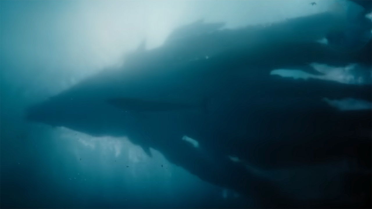 Titan X swims in the ocean in Monarch: Legacy of Monsters Season 2