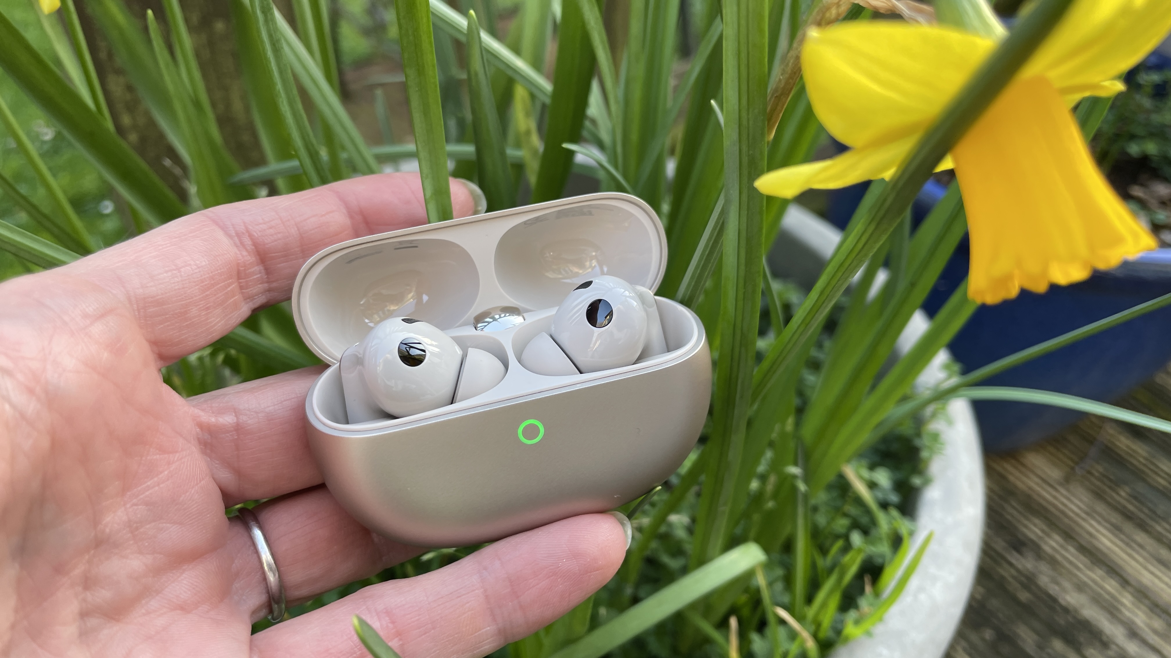 Huawei FreeBuds Pro 5 outside, near some daffodils, in the afternoon sun