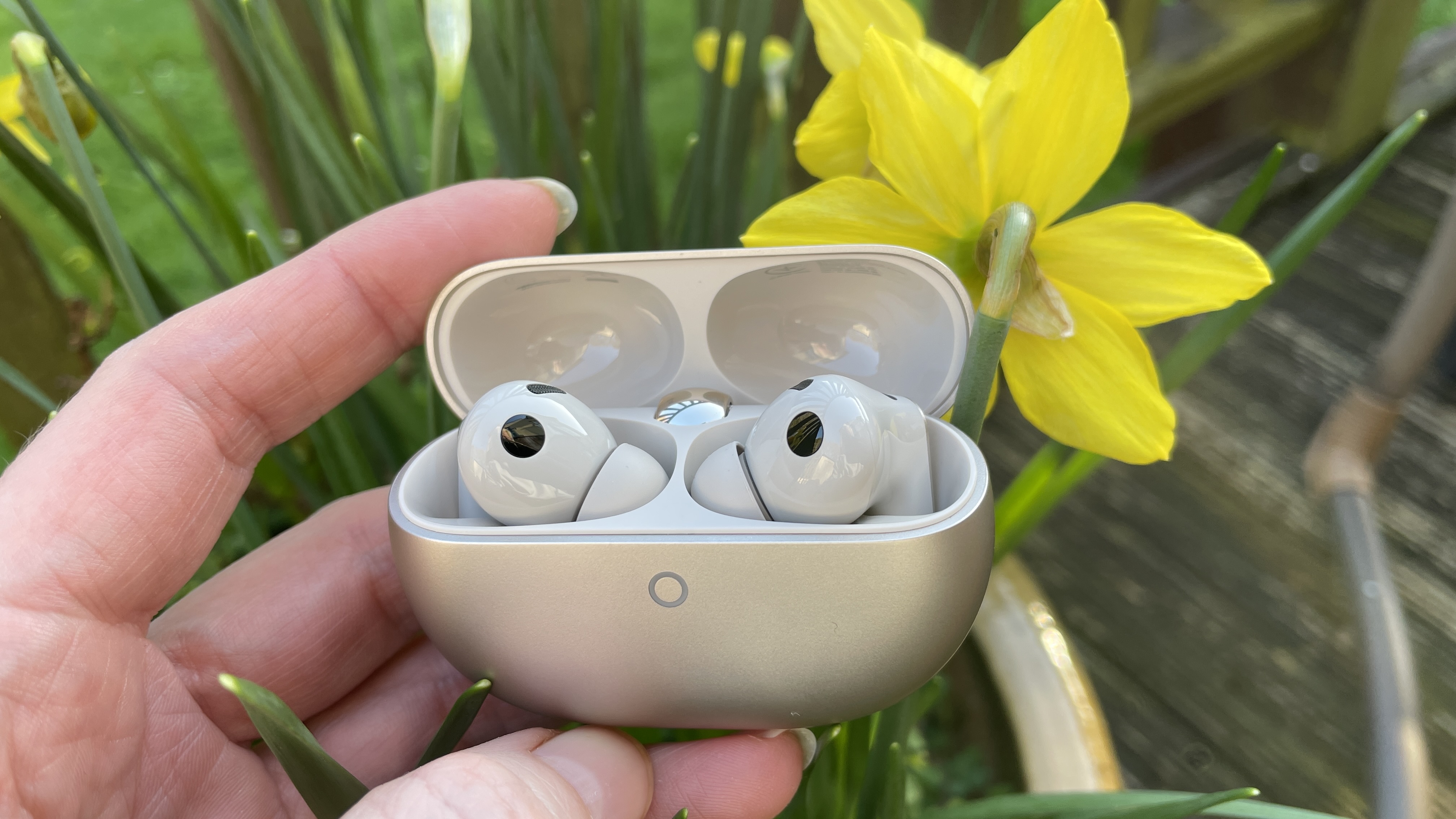 Huawei FreeBuds Pro 5 outside, near some daffodils, in the afternoon sun