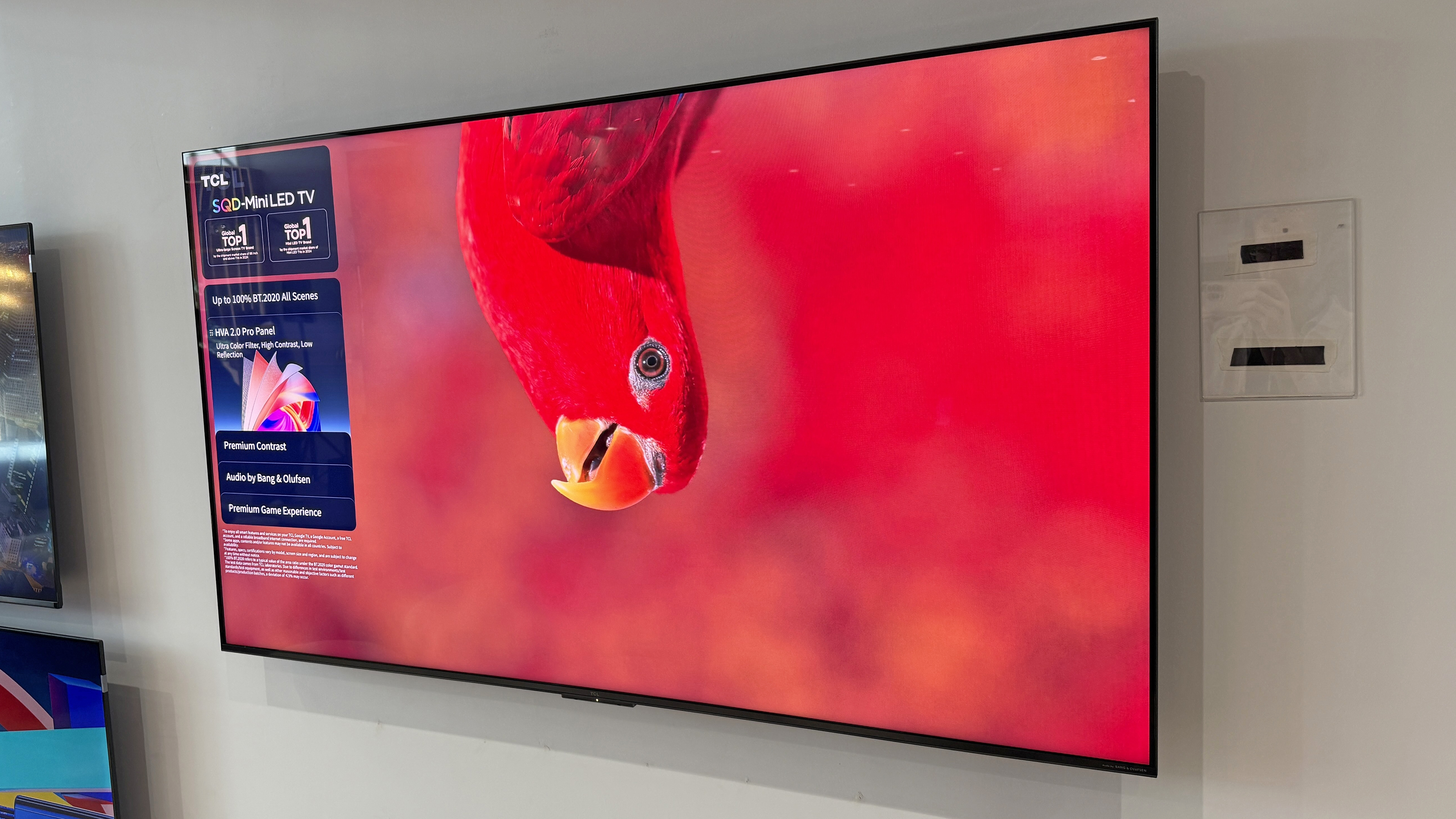 The TCL C7L TV at a launch event with an image of a red parrot hanging down from the top of the screen against a very red background showing strong color depth in the TV