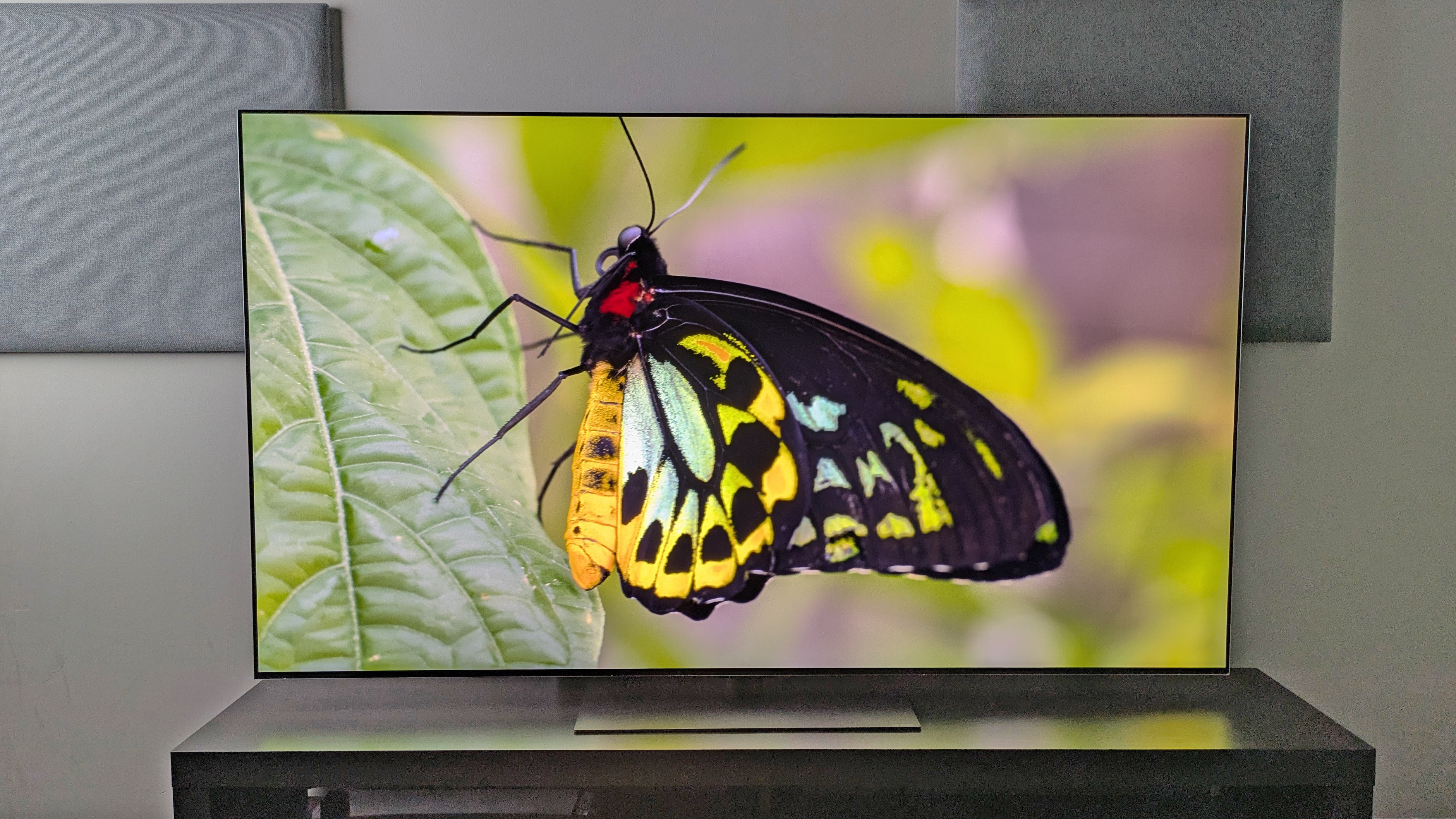 The LG G6 OLED TV displays an image of a butterfly, revealing rich green and yellow hues and deep black tones in the wings