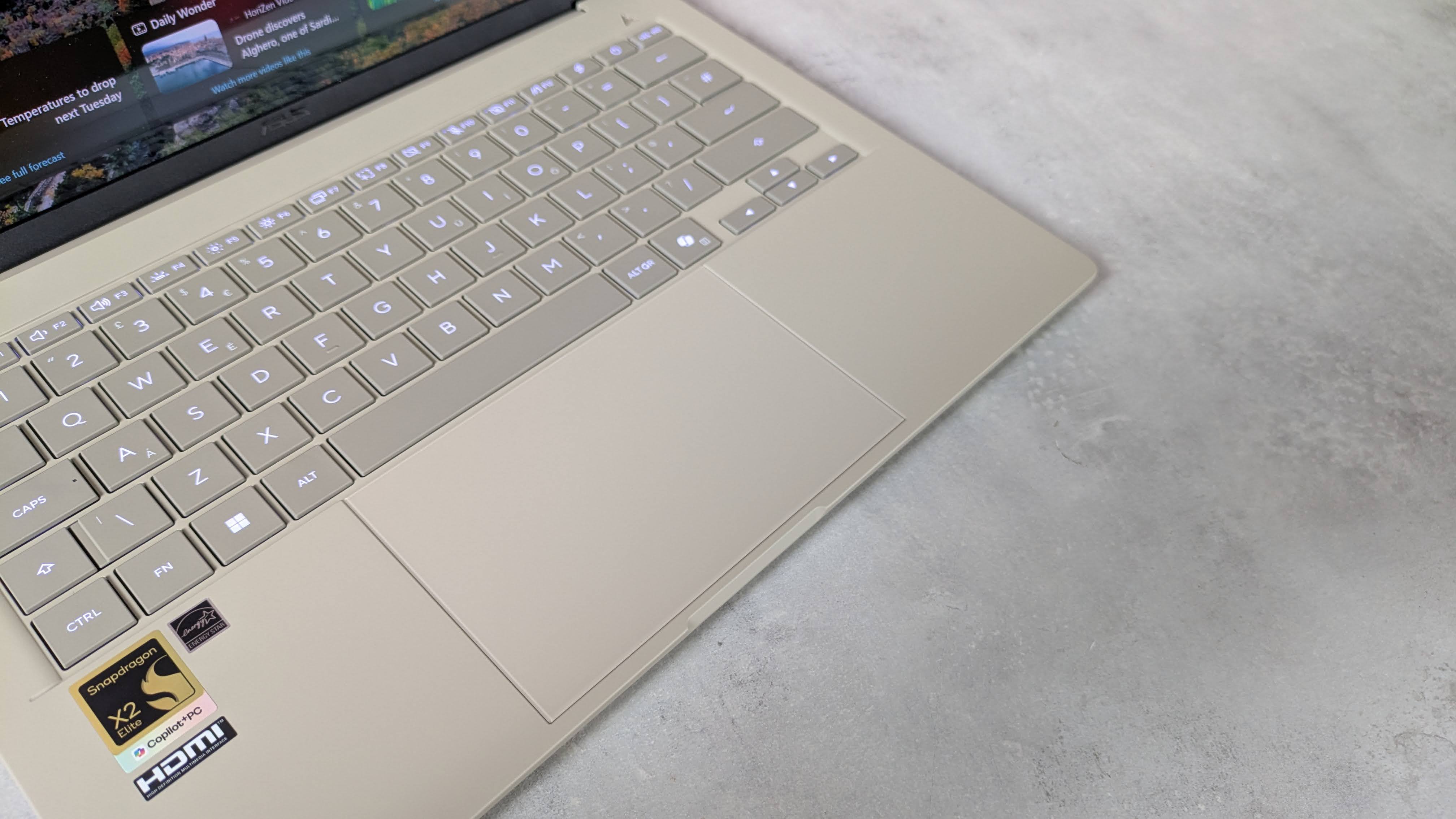 Close-up of the touchpad on the Asus laptop