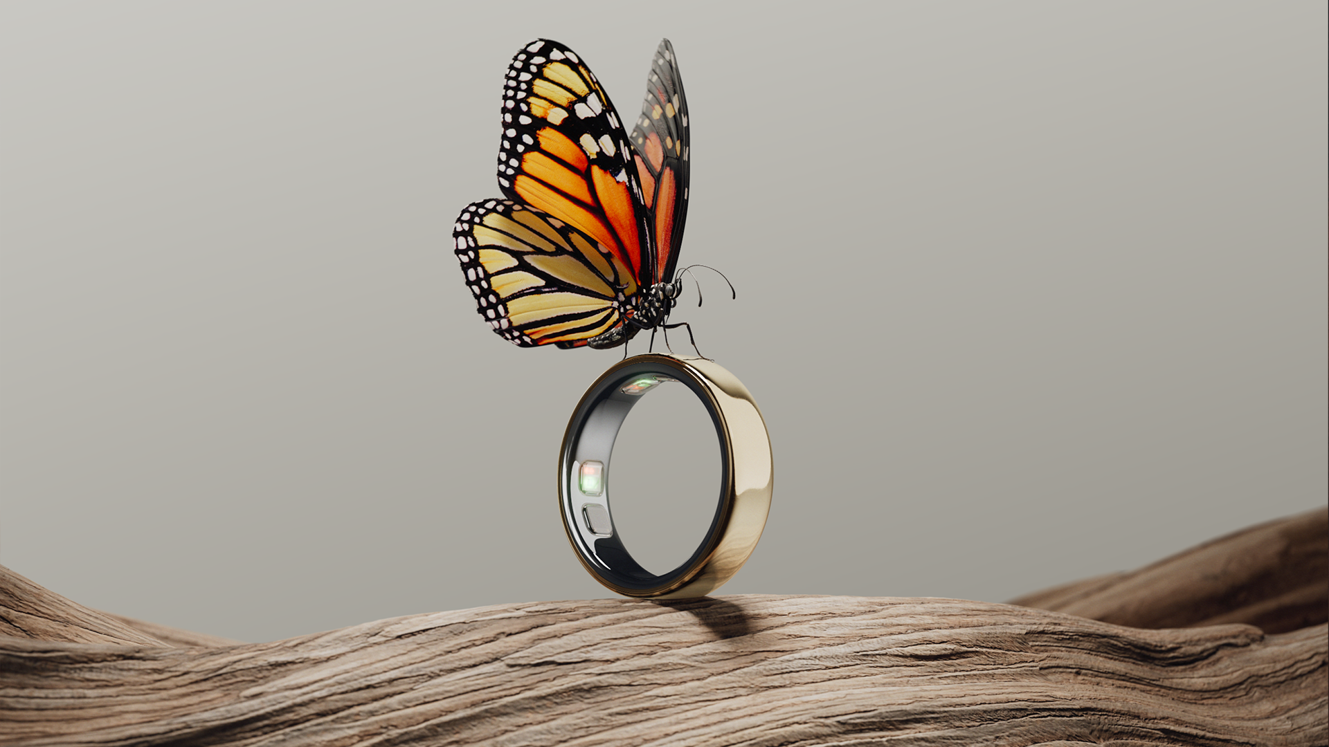 Oura Ring 5 with a butterfly on top