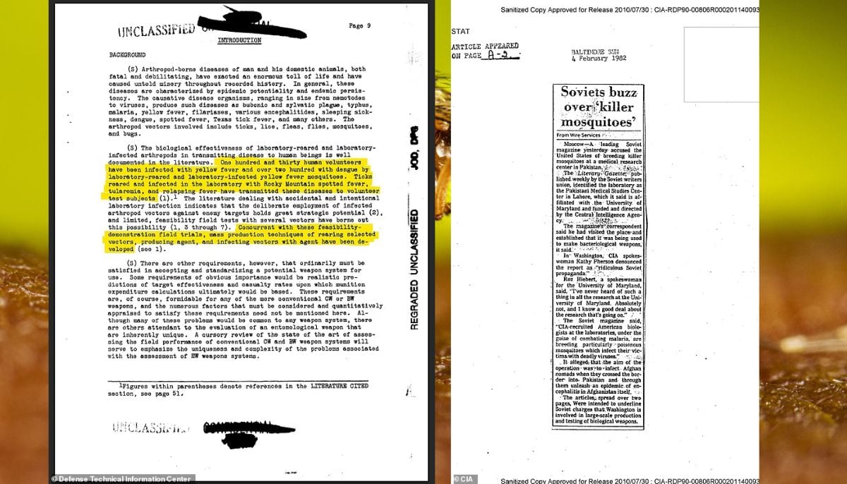 Secret Pentagon files reveal US military tested use of killer mosquitoes as biological weapons