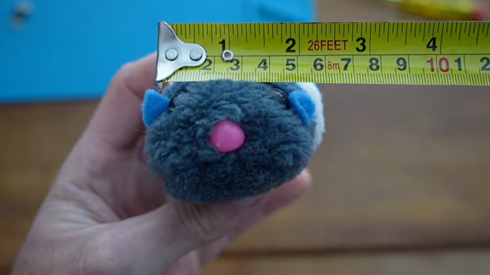 A man's hand holds a toy guinea pig and measures its width with a yellow measuring tape