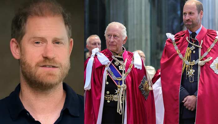 Prince Harry nods to Prince William, King Charles in surprise video message
