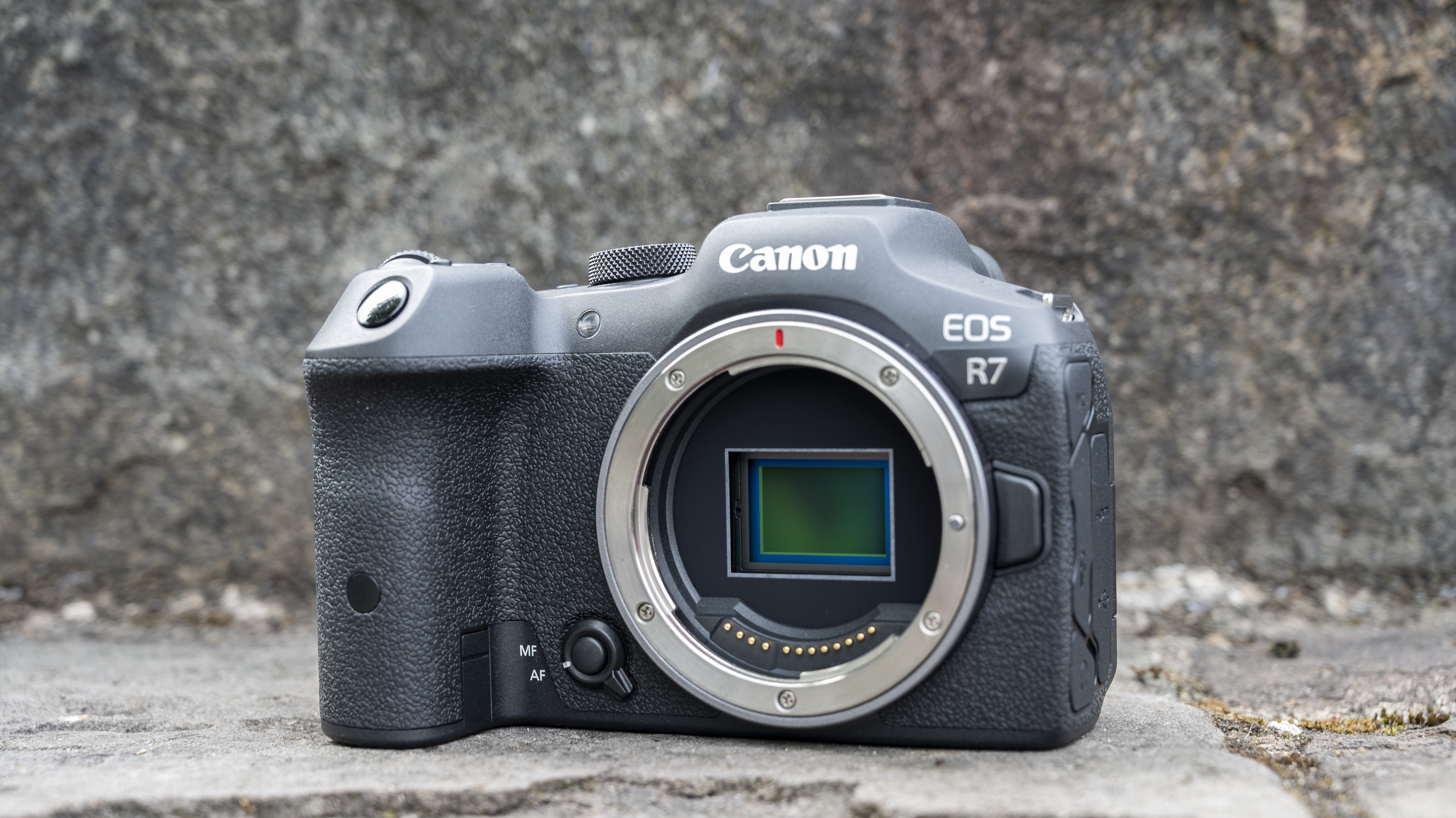 The Canon EOS R7 camera sits on a stone step