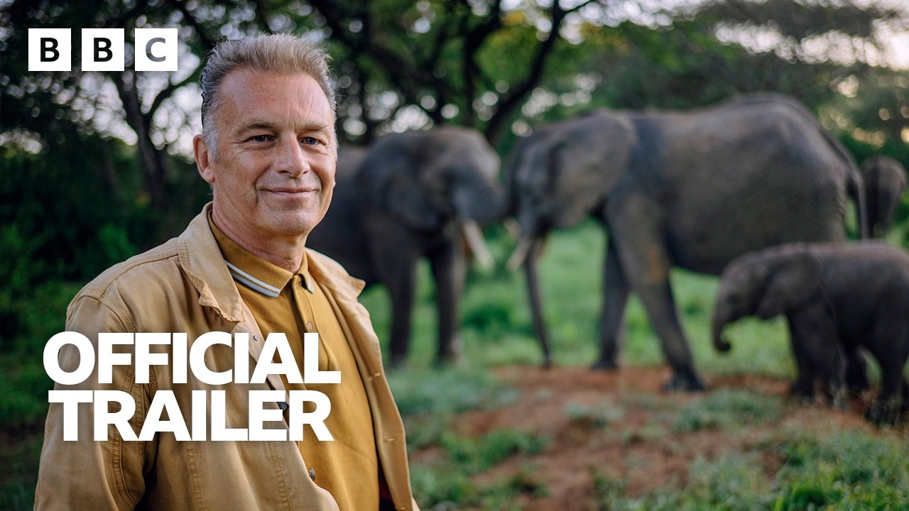 Evolution | Trailer – BBC – YouTube