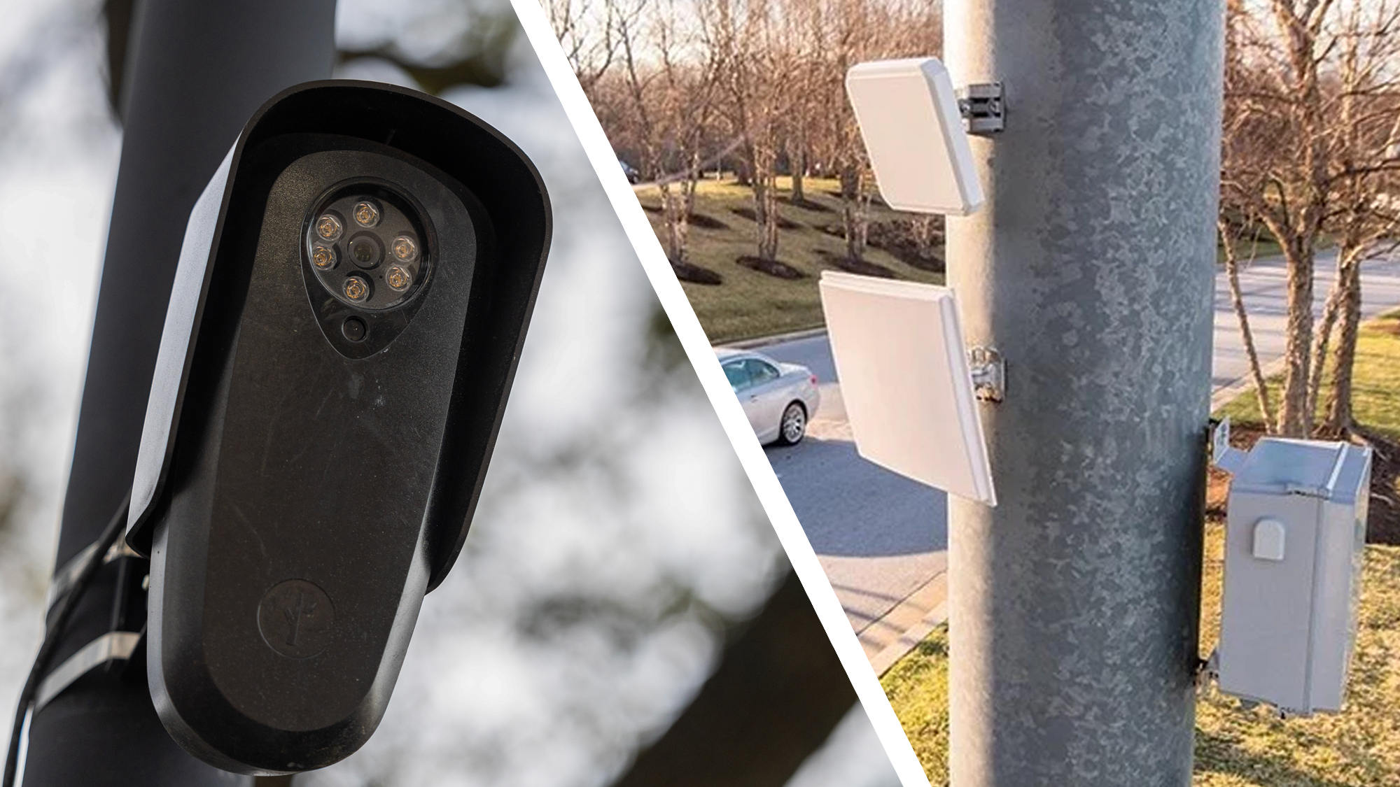 A herd camera next to SignalTrace cameras on a post