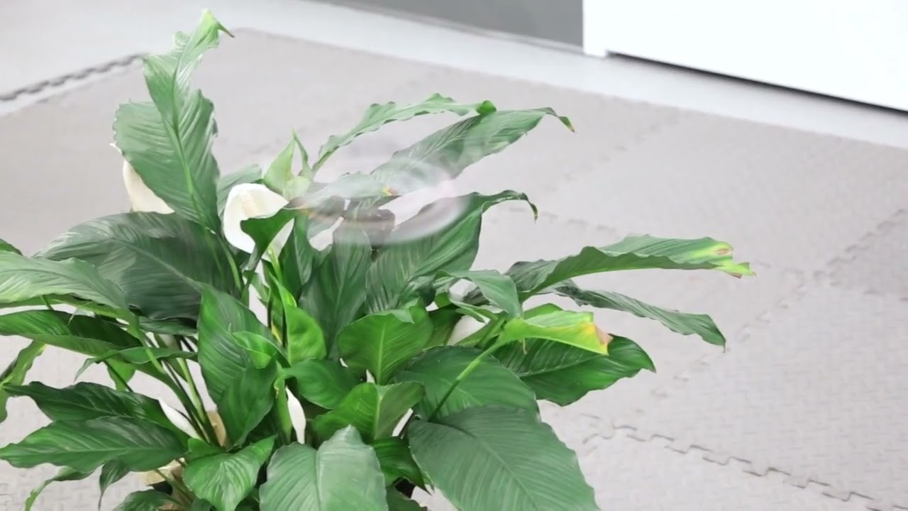 New drone almost disappears in flight - YouTube
